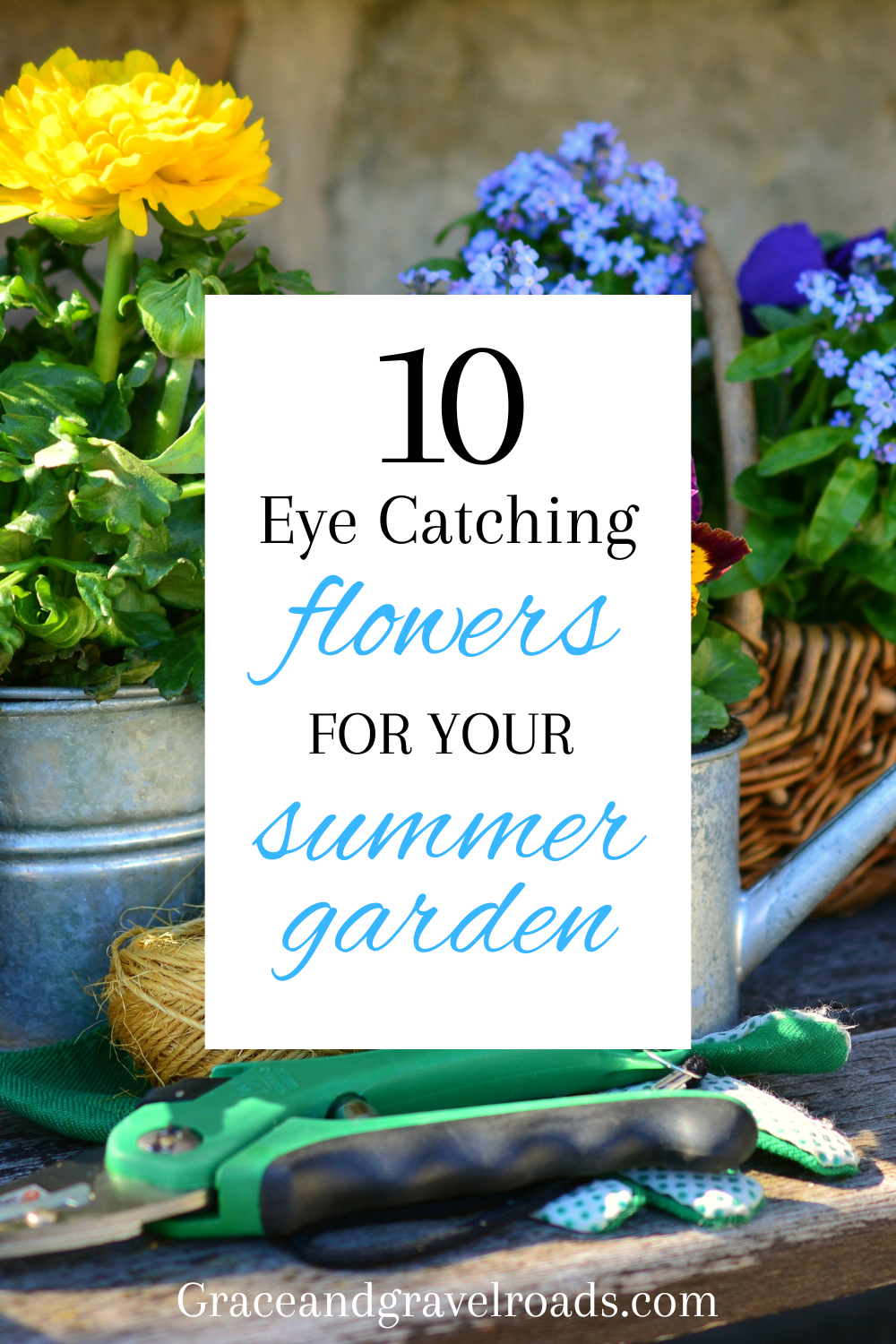 Featured Post Image - 10 Eye-catching Flowers For Your Summer Garden